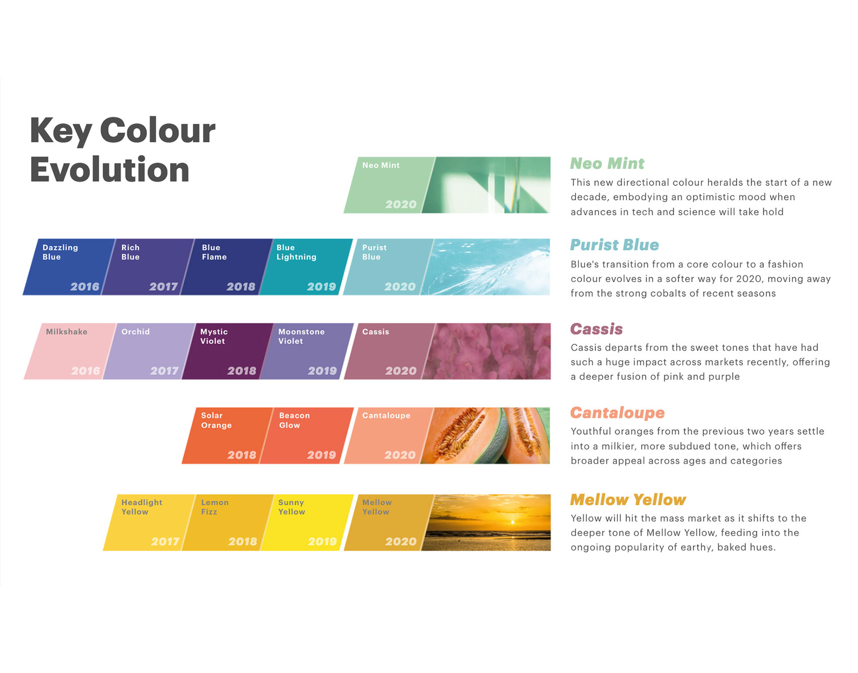 Key Colors To Pick For Your Home Interiors In 2022