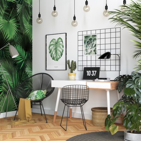 Green Living – Indoor Planting Ideas