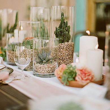 Succulents in Vases