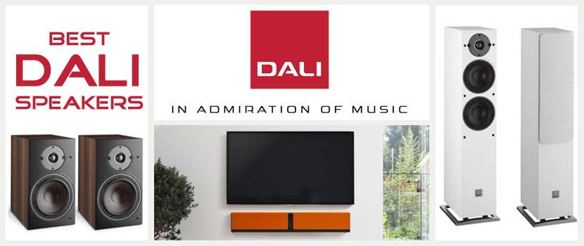 8 Best DALI Speakers and Soundbars in India