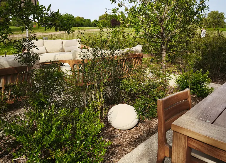 Focal OD Stone 8 installed discreetly in a planted dining area